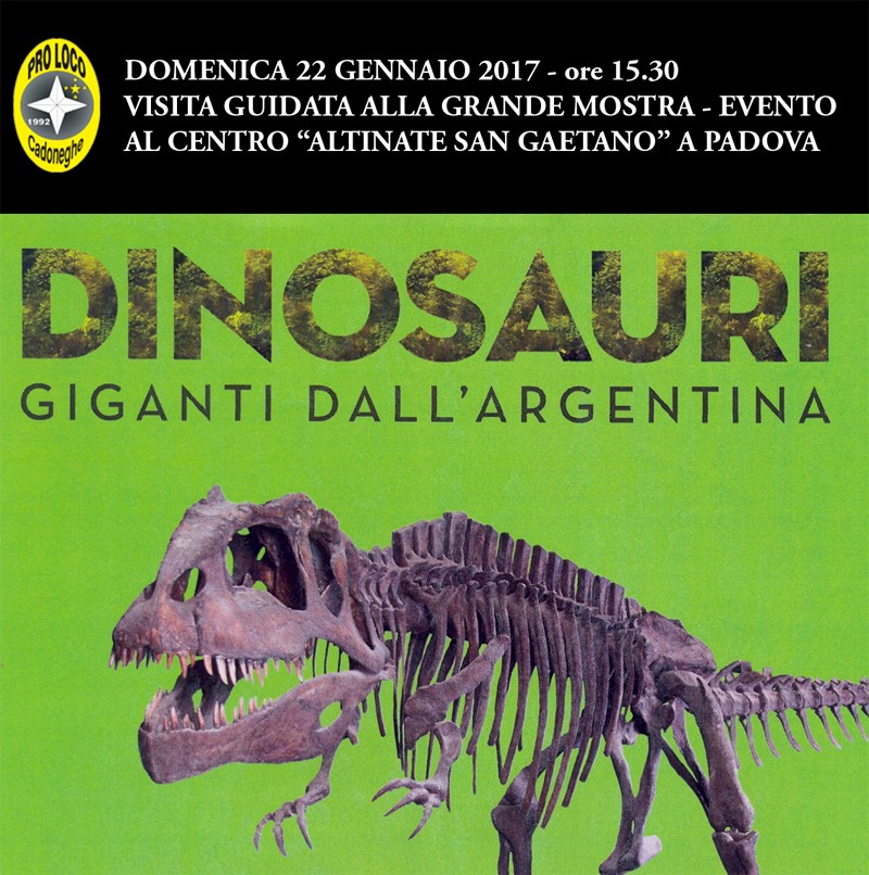 DINOSAURI Giganti dall'Argentina