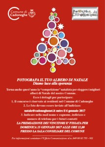 concorso-albero-2016