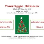 Pomeriggio Natalizio